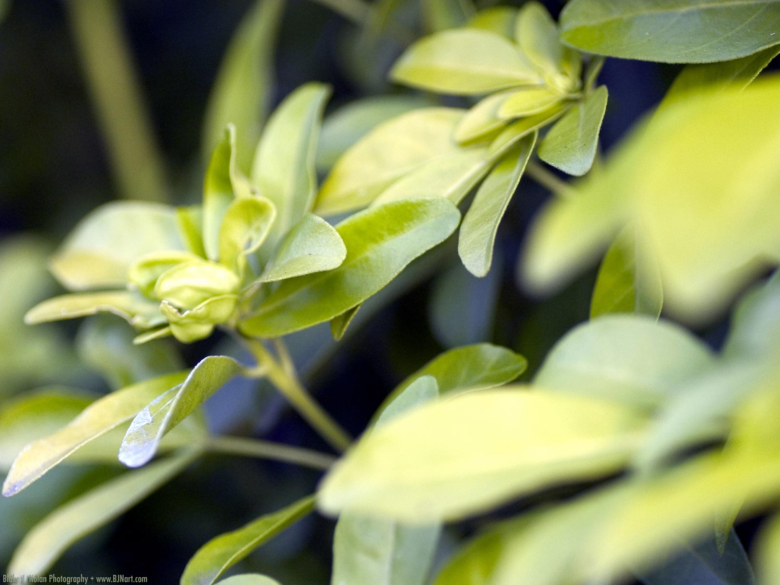 ���� �� ������� ���� :: ��������� ���� - ����� :: ���������� 2