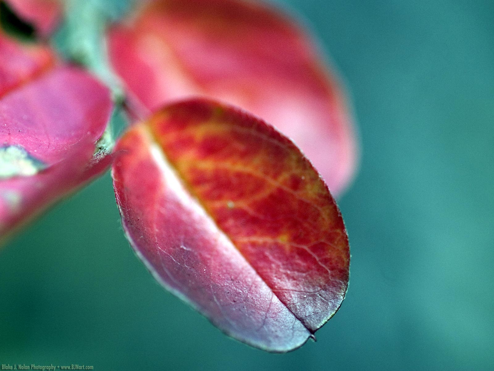 ���� �� ������� ���� :: ��������� ���� - ����� :: ���������� 2