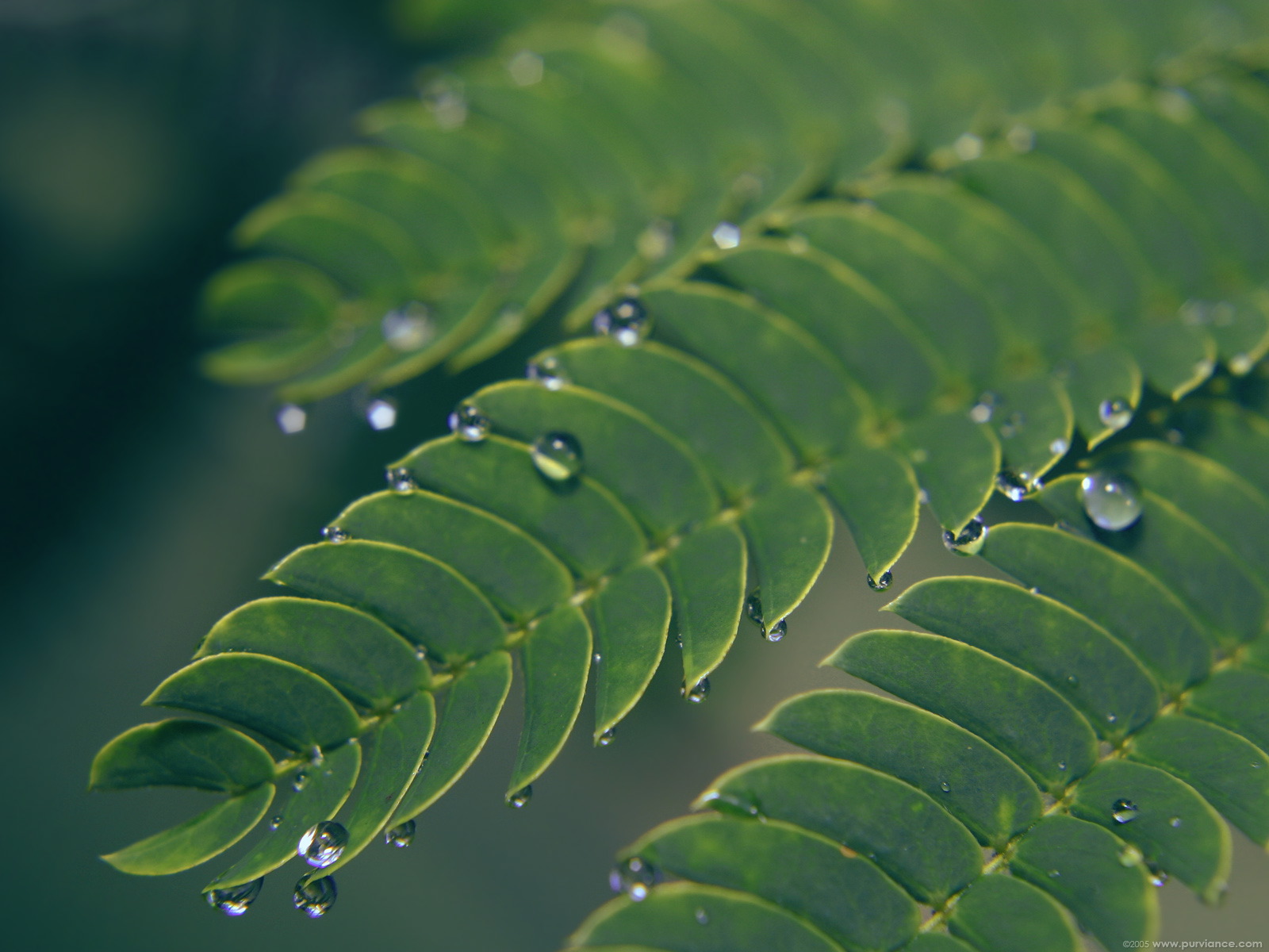 ���� �� ������� ���� :: ��������� ���� - ����� :: ���������� 2