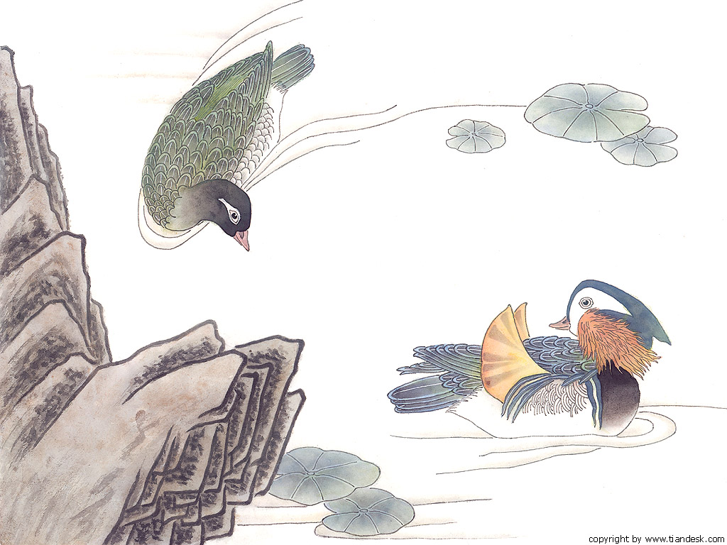 ���� �� ������� ���� :: �������� :: ���������� 2