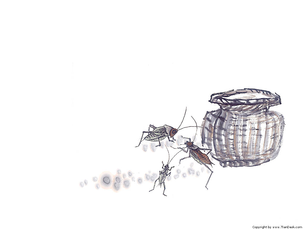 ���� �� ������� ���� :: �������� :: ���������� 2