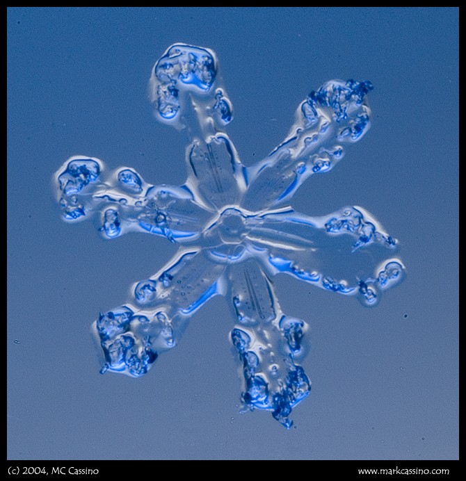 Молекула воды и льда. Кристаллы воды. Жидкие Кристаллы воды. Замороженные Кристаллы воды. Кристаллы воды под микроскопом.