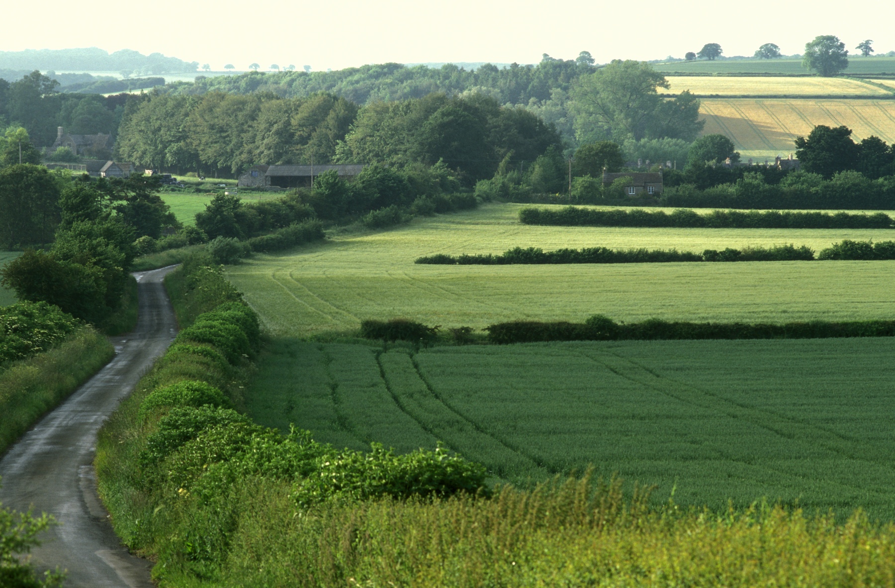 ����� �������� :: �������������� :: ���������� 1