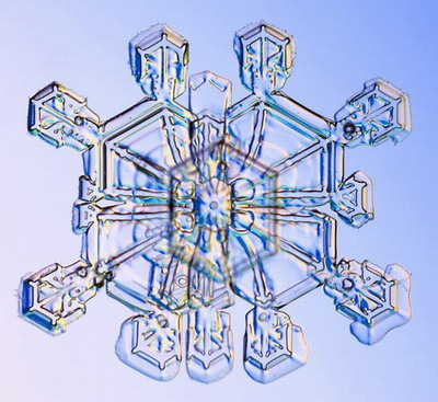 Макромир :: Снежинки под микроскопом фото 1