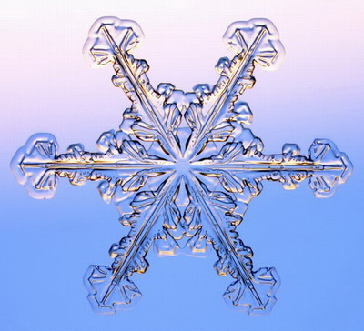 Макромир :: Снежинки под микроскопом фото 4