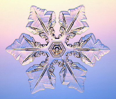 Макромир :: Снежинки под микроскопом фото 7
