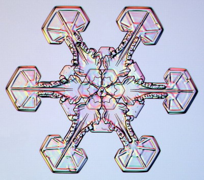 Макромир :: Снежинки под микроскопом фото 9
