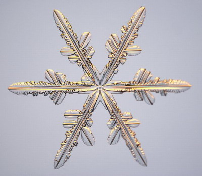 Макромир :: Снежинки под микроскопом фото 14