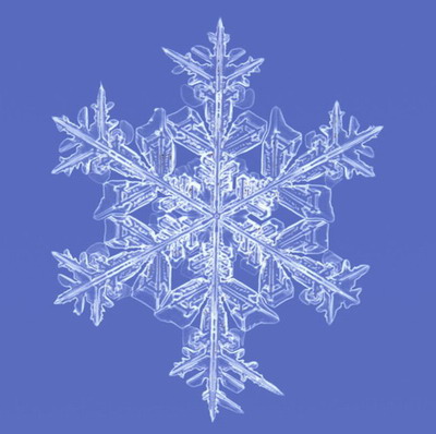 Макромир :: Снежинки под микроскопом фото 21