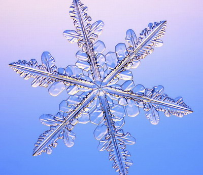Макромир :: Снежинки под микроскопом фото 23