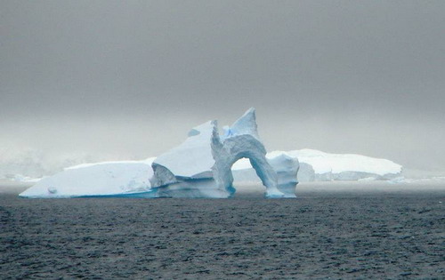 Антарктида фото 19