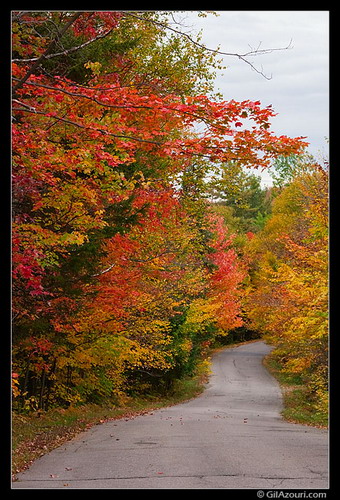 Природа :: Красавица осень фото 32