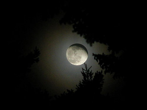 Природа :: Луна фото 2