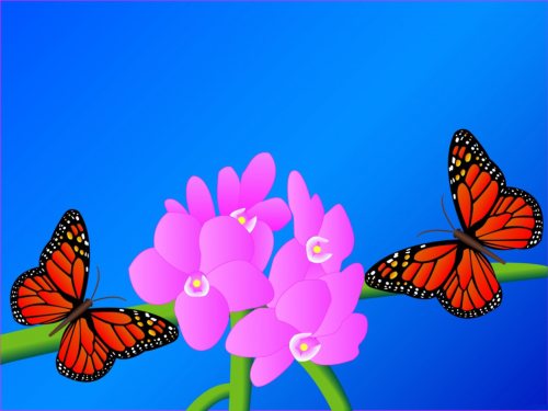Бабочки в большом разрешении фото 33