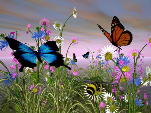 Бабочки в большом разрешении фото 43