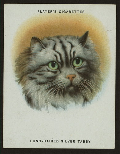 Сигаретные карточки с кошками фото 2