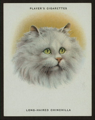 Сигаретные карточки с кошками фото 4