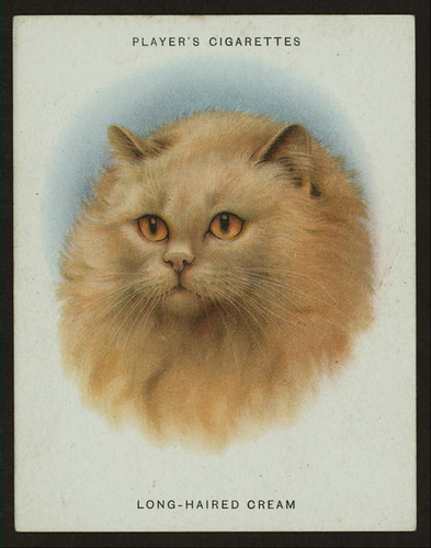Сигаретные карточки с кошками фото 10
