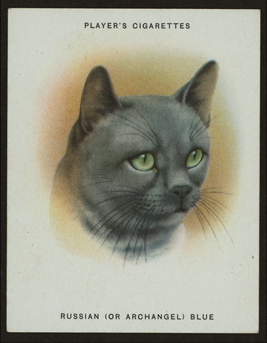Сигаретные карточки с кошками фото 12