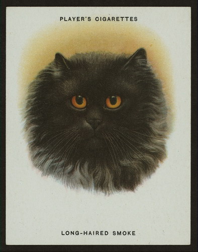 Сигаретные карточки с кошками фото 22
