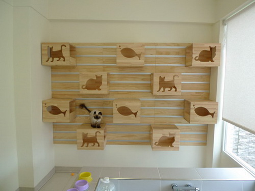 Дизайн квартиры для кошек фото 1