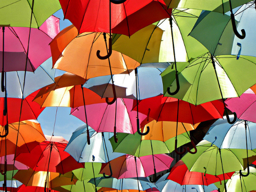 Зонтики фото 3