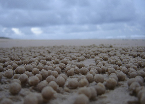 Крабы и песочные шарики фото 10