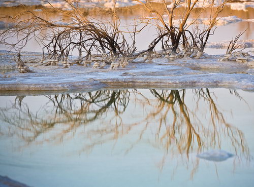Мертвое море фото 46