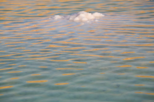 Мертвое море фото 48