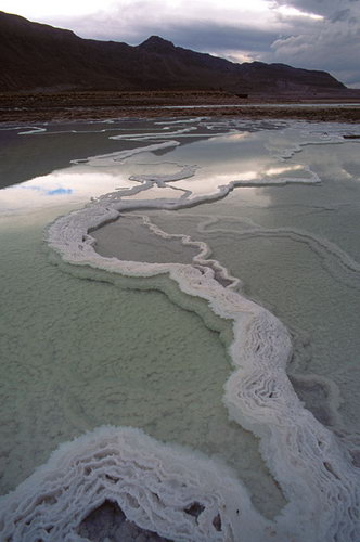 Мертвое море фото 50
