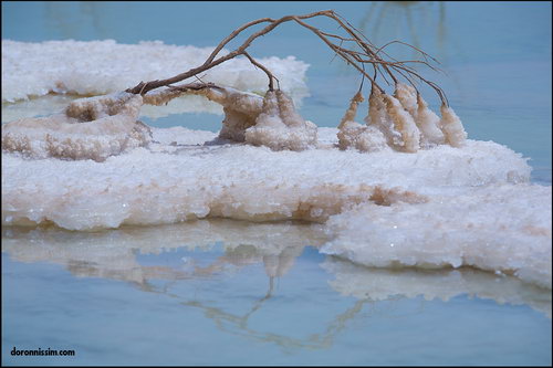 Мертвое море фото 52