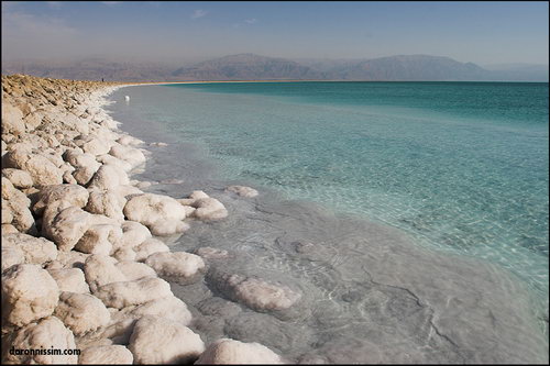 Мертвое море фото 54