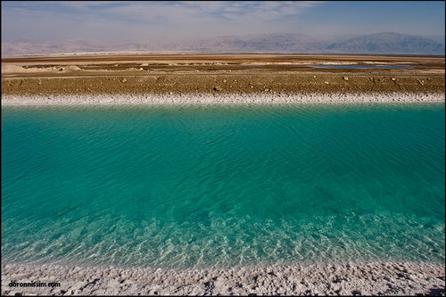 Мертвое море фото 56