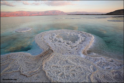 Мертвое море фото 74