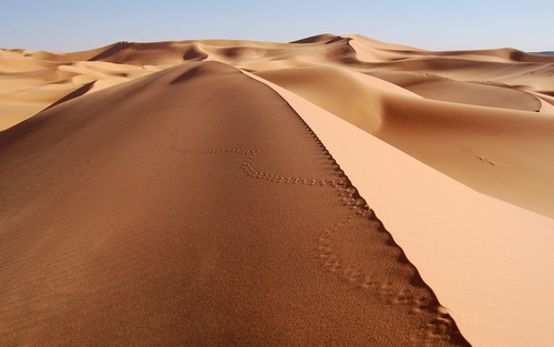 Пустыни и пески фото 18