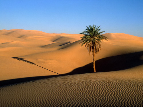 Пустыни и пески фото 25