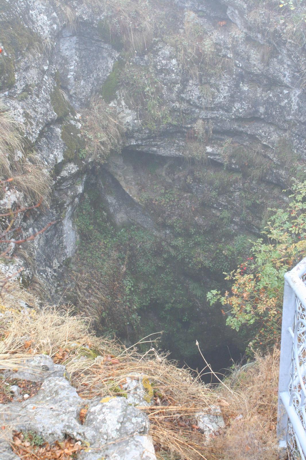 Природа :: Пещера Эмине-Баир-Хосар :: фотография 1