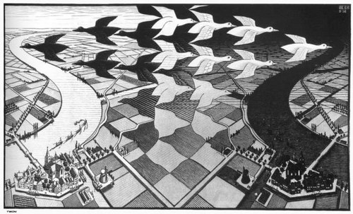  ::   (Escher)  43