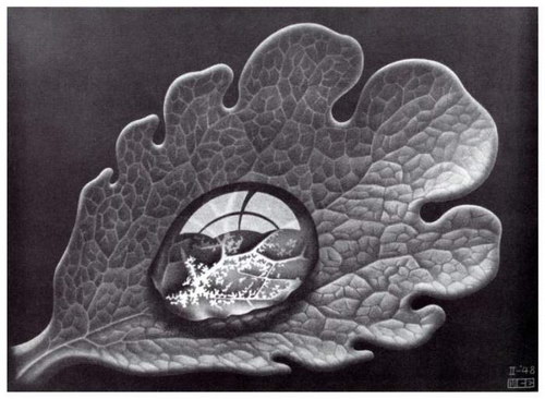  ::   (Escher)  44