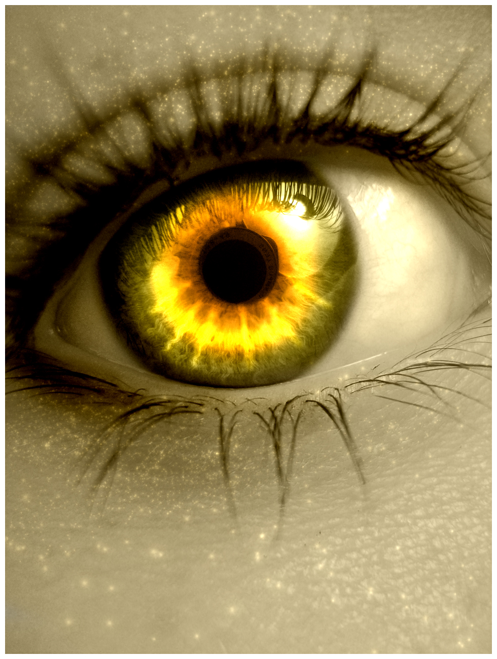 Ярко жёлтые глаза
