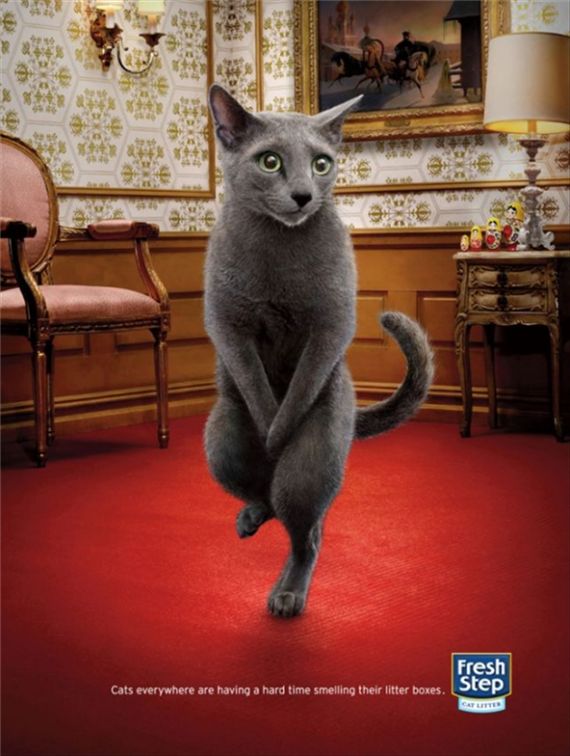Реклама наполнителя для кошек :: фотография 1