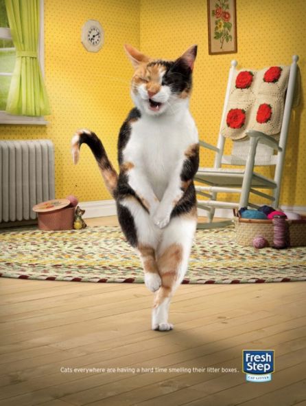 Реклама наполнителя для кошек :: фотография 1
