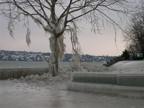 Ледяные скульптуры фото 2