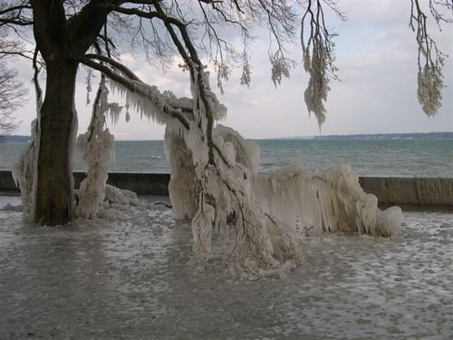 Ледяные скульптуры фото 15