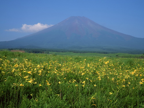 Гора Фуджи фото 64