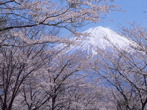Гора Фуджи фото 68