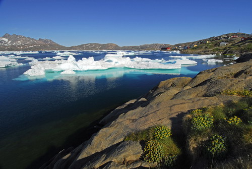Природа :: Гренландия фото 40