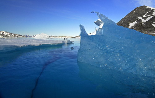 Природа :: Гренландия фото 76