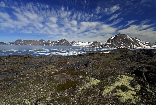Природа :: Гренландия фото 82