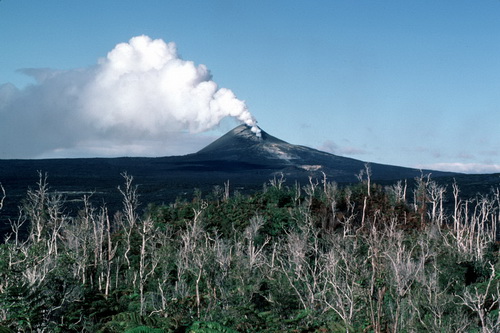 Фотографии живого вулкана фото 36